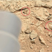 火星驚現懷疑骸骨