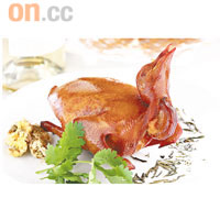 菊花普洱煙乳鴿　$156<br>煙熏乳鴿的過程最重要是掌握火候，時間太短，茶葉及菊花等熏料未能滲入鴿肉，太耐又會令鴿肉變老，這裏做的剛好。