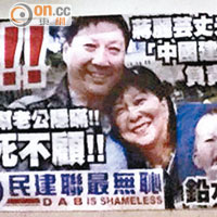 政壇：蔣麗芸夫婦被批「鉛兇」